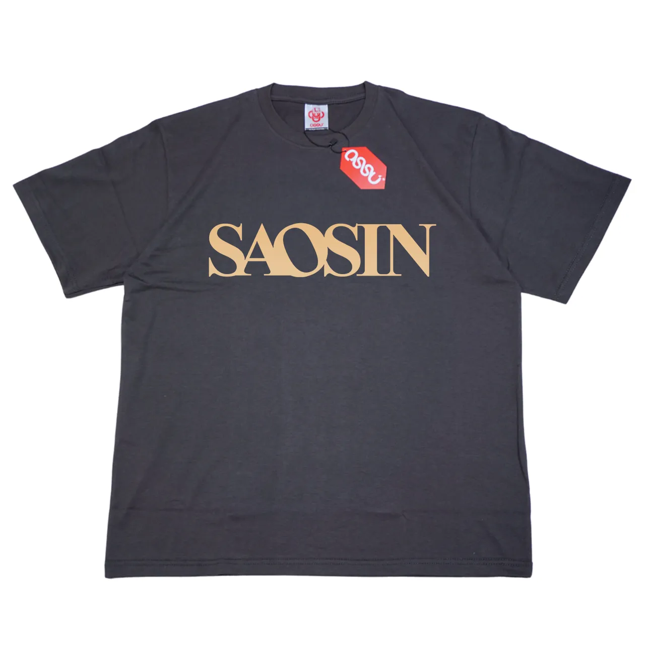 SAOSIN LOGO GREY